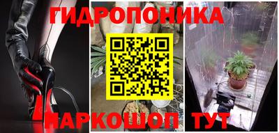 круглые Бийск