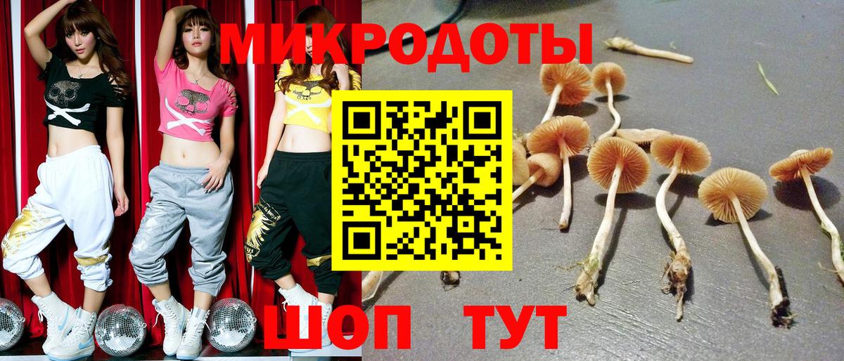 где найти   Вход с VPN  Вичуга  Псилоцибиновые грибы прущие грибы 