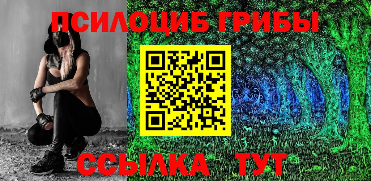 Псилоцибиновые грибы Psilocybe Вичуга